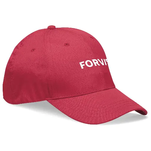 Performance Cap - 6 Panel